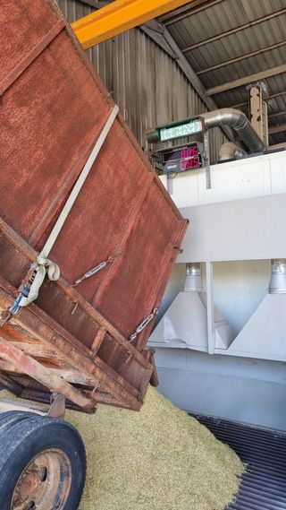 오학봉(멀티팜)님의 벼 · 영농일지 작성글 사진