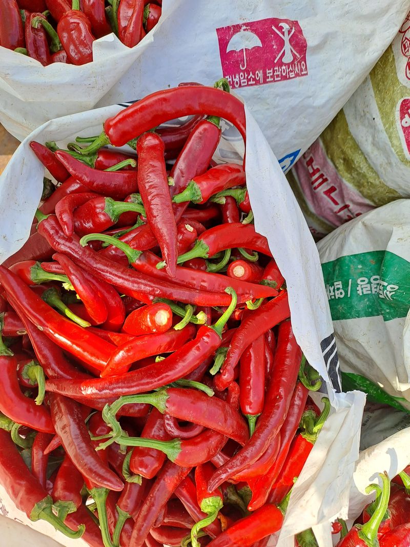 송경희님의 장터 판매 상품 [고추가루] 첨부 사진