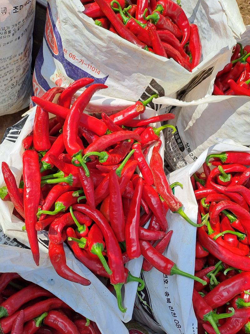 송경희님의 장터 판매 상품 [고추가루] 첨부 사진