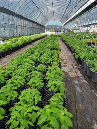 행복한나무농장님의 자유주제 · 자유게시판 작성글 사진