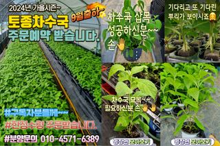 행복한나무농장님의 자유주제 · 자유게시판 작성글 사진