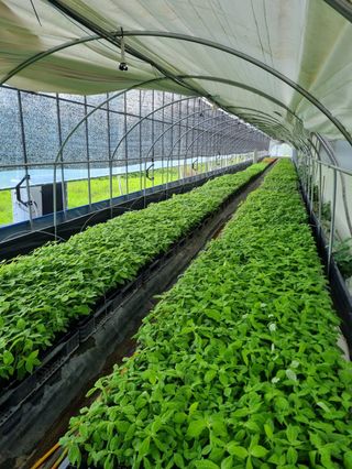 행복한나무농장님의 자유주제 · 자유게시판 작성글 사진