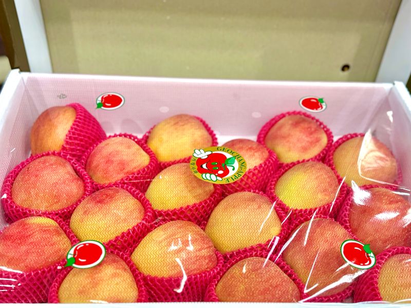 농부손녀님의 장터 판매 상품 [[프리미엄] 2025 꿀사과 선물세트 5kg ] 첨부 사진