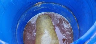 고추농사 정 미라님의 자유주제 · 자유게시판 작성글 사진