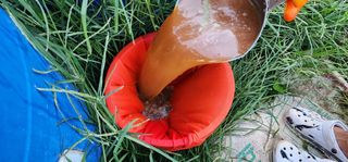 고추농사 정 미라님의 자유주제 · 자유게시판 작성글 사진