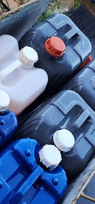 고추농사 정 미라님의 자유주제 · 자유게시판 작성글 사진