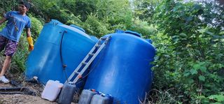 고추농사 정 미라님의 자유주제 · 자유게시판 작성글 사진