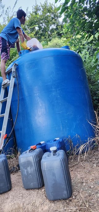 고추농사 정 미라님의 자유주제 · 자유게시판 작성글 사진