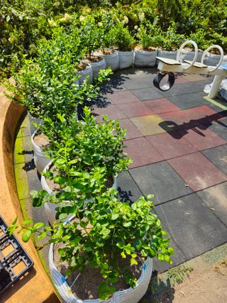 강창근님의 자유주제 · 사진전 작성글 사진