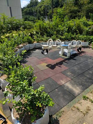 강창근님의 자유주제 · 사진전 작성글 사진