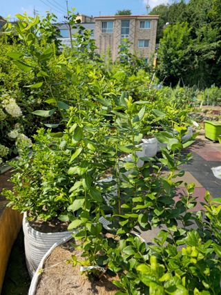 강창근님의 자유주제 · 사진전 작성글 사진
