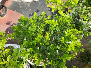 강창근님의 자유주제 · 사진전 작성글 사진