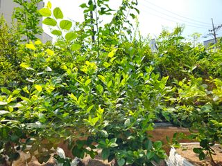 강창근님의 자유주제 · 사진전 작성글 사진