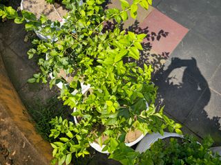 강창근님의 자유주제 · 사진전 작성글 사진