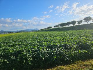 귀농 님의 자유주제 · 자유게시판 작성글 사진