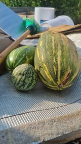 팜모닝 자유주제·자유게시판 게시글 이미지