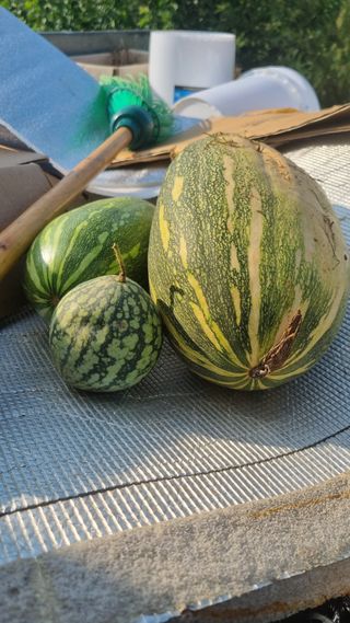 이천용님의 자유주제 · 자유게시판 작성글 사진