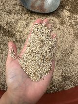 팜모닝 자유주제·자유게시판 게시글 이미지