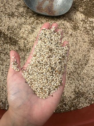 김성미님의 자유주제 · 자유게시판 작성글 사진