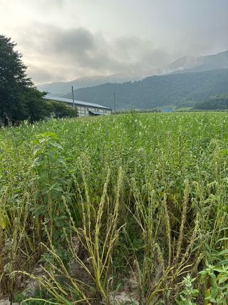 김성미님의 자유주제 · 자유게시판 작성글 사진