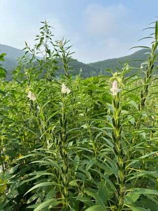 김성미님의 자유주제 · 자유게시판 작성글 사진