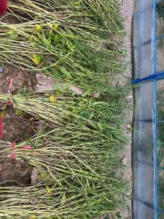 김성미님의 자유주제 · 자유게시판 작성글 사진