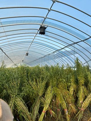 김성미님의 자유주제 · 자유게시판 작성글 사진