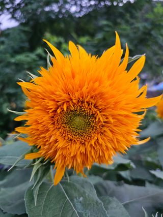 이동순님의 자유주제 · 자유게시판 작성글 사진