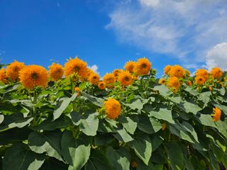 이동순님의 자유주제 · 자유게시판 작성글 사진