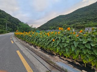 이동순님의 자유주제 · 자유게시판 작성글 사진