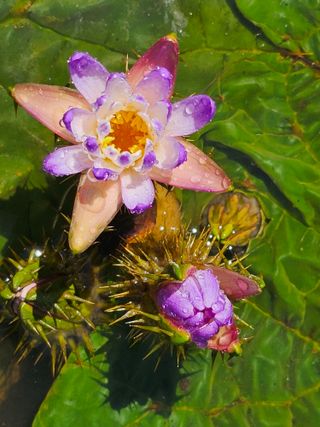 이동순님의 자유주제 · 자유게시판 작성글 사진
