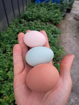 주일현님의 자유주제 · 자유게시판 작성글 사진