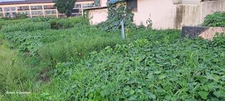 김윤철님의 나의 농사 애장품을 자랑해요 · 참여글 작성글 사진