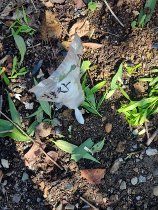 김용대님의 자유주제 · 자유게시판 작성글 사진