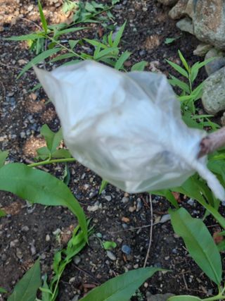 김용대님의 자유주제 · 자유게시판 작성글 사진