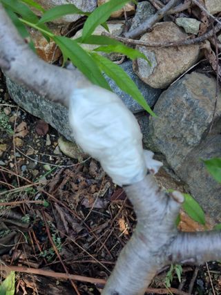 김용대님의 자유주제 · 자유게시판 작성글 사진