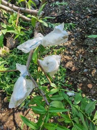 김용대님의 자유주제 · 자유게시판 작성글 사진