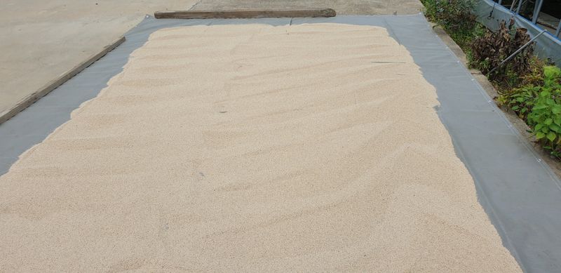 장터 상품 [햇 참깨(판매완료)] 썸네일