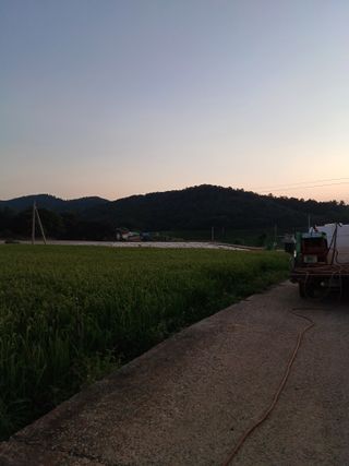 결단이님의 벼 · 영농일지 작성글 사진