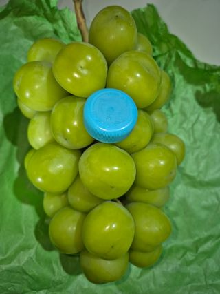 예비 초보농부님의 포도 · 영농일지 작성글 사진