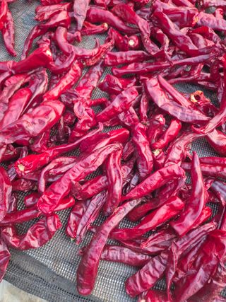 박무순님의 작성글 사진