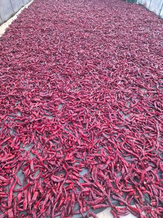 박무순님의 작성글 사진