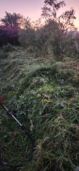 팜모닝 기타작물·영농일지 게시글 이미지