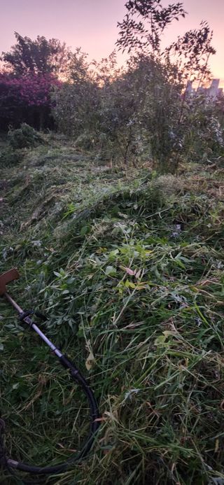 순창쌍치김선중님의 기타작물 · 영농일지 작성글 사진