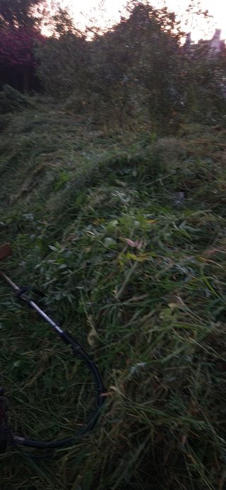 순창쌍치김선중님의 기타작물 · 영농일지 작성글 사진