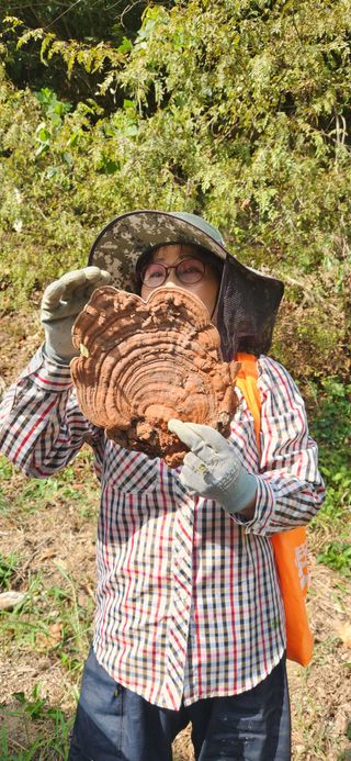 최군환님의 자유주제 · 자유게시판 작성글 사진