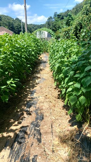 권세민님의 나의 농사 애장품을 자랑해요 · 참여글 작성글 사진