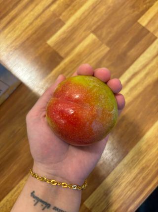 일심묘목농원님의 자유주제 · 자유게시판 작성글 사진