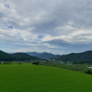 별빛대박님의 양파 · 자유게시판 작성글 사진