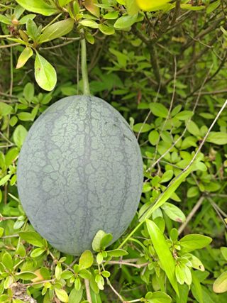 강원사랑인님의 자유주제 · 자유게시판 작성글 사진